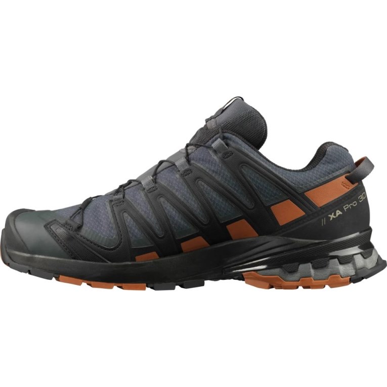 Tenis Para Trail Running Salomon Xa Pro 3d V8 GTX Hombre Azul Marino | MX PIRT246